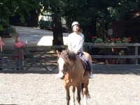 image-1f29574ddeb2372659a1acd527b8a2bd5d6626824514ab0c8c3307476c343cea-V