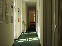 berlin_54_daf_01