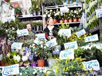 Flower-Market