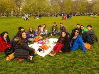 Picnic-in-the-Park
