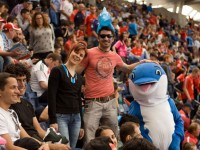 The-Delfin-in-the-Hurling-Match