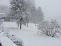 IMG_9572