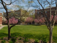 Concordia_campus.d0a2fc1f73f1b86771ebe1b842e44daf