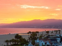 LA_Juniors_238