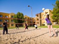 Los-Angeles-Volleyball