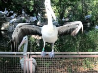 IMG_8700
